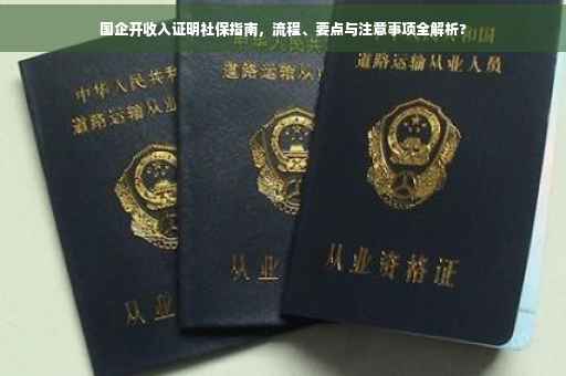 国企开收入证明社保指南，流程、要点与注意事项全解析?