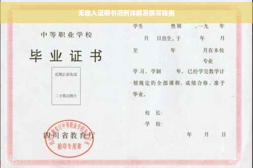 无收入证明书范例详解及撰写指南