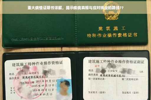 重大病情证明书详解，揭示疾病真相与应对挑战的路径??