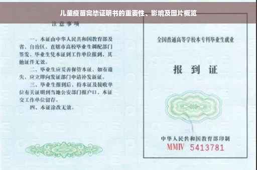 儿童疫苗完毕证明书的重要性、影响及图片概览