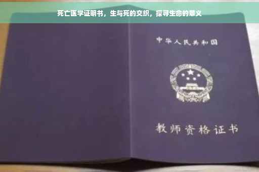死亡医学证明书，生与死的交织，探寻生命的意义