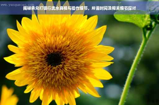 揭秘承兑打银行流水真相与操作细节，所需时间及相关细节探讨
