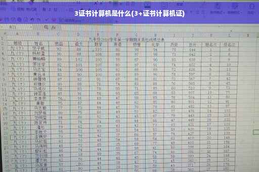 3证书计算机是什么(3+证书计算机证)