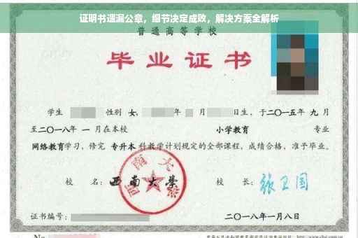 证明书遗漏公章，细节决定成败，解决方案全解析