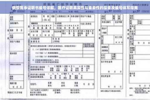 病假医事证明书编号详解，医疗证明真实性与重要性的探索及编号填写指南