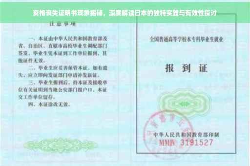 资格丧失证明书现象揭秘，深度解读日本的独特实践与有效性探讨