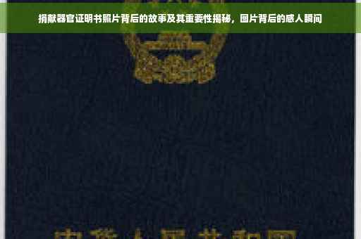 捐献器官证明书照片背后的故事及其重要性揭秘，图片背后的感人瞬间
