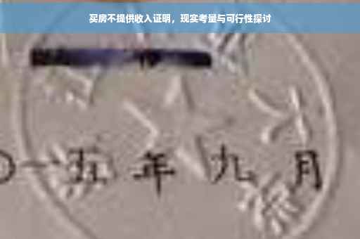 买房不提供收入证明，现实考量与可行性探讨