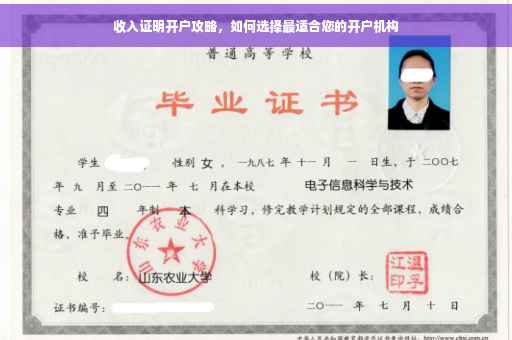 收入证明开户攻略，如何选择最适合您的开户机构