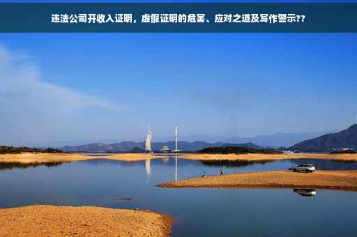 违法公司开收入证明，虚假证明的危害、应对之道及写作警示??