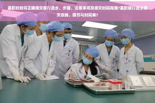 离职时如何正确提交银行流水，步骤、注意事项及提交时间指南?离职银行流水提交攻略，细节与时间表?