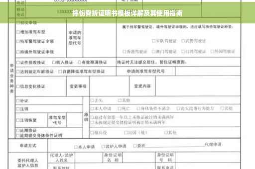 摔伤骨折证明书模板详解及其使用指南