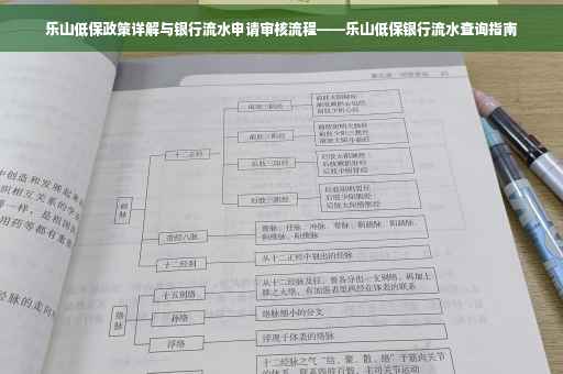乐山低保政策详解与银行流水申请审核流程——乐山低保银行流水查询指南