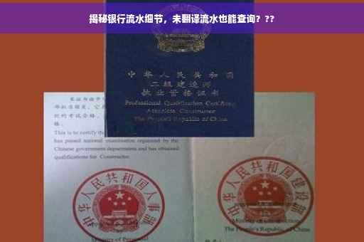揭秘银行流水细节，未翻译流水也能查询？??