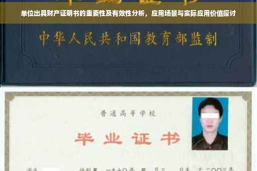 单位出具财产证明书的重要性及有效性分析，应用场景与实际应用价值探讨