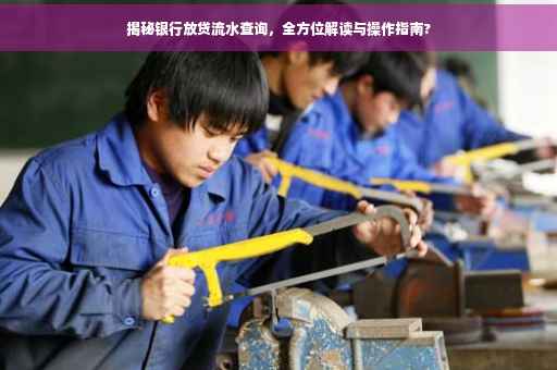 揭秘银行放贷流水查询，全方位解读与操作指南?