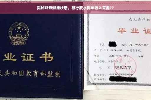 揭秘财务健康状态，银行流水揭示收入来源??