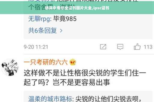 仿真中专毕业证书图片大全,ipsc证书