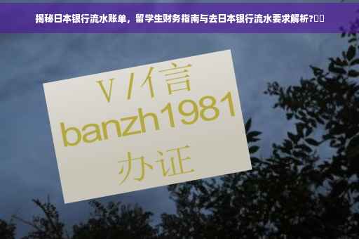 揭秘日本银行流水账单，留学生财务指南与去日本银行流水要求解析?⚡️