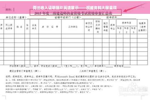 荷兰收入证明图片高清展示——权威资料大图呈现