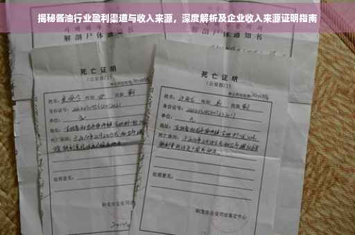 揭秘酱油行业盈利渠道与收入来源，深度解析及企业收入来源证明指南