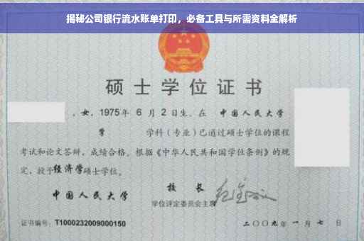 揭秘公司银行流水账单打印，必备工具与所需资料全解析
