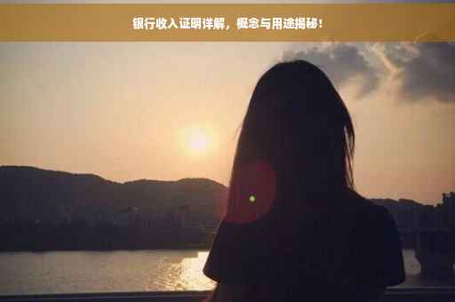 银行收入证明详解，概念与用途揭秘！