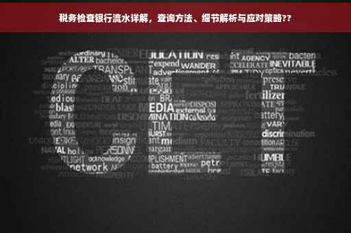 税务检查银行流水详解，查询方法、细节解析与应对策略??