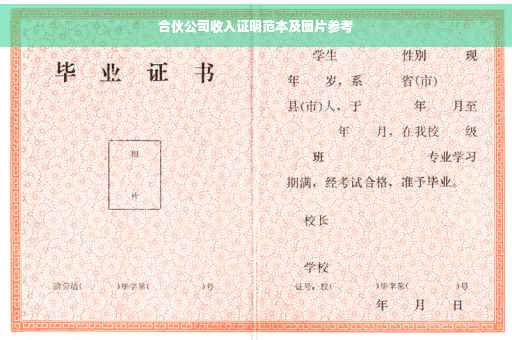 合伙公司收入证明范本及图片参考