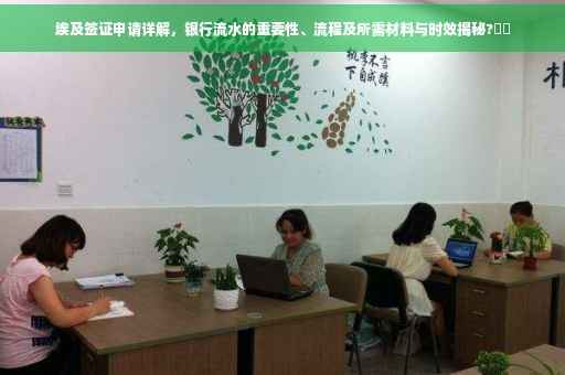 埃及签证申请详解，银行流水的重要性、流程及所需材料与时效揭秘?⚡️
