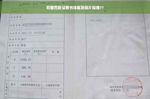 犯罪罚款证明书详解及图片指南??