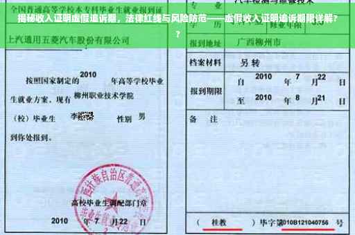 揭秘收入证明虚假追诉期，法律红线与风险防范——虚假收入证明追诉期限详解??