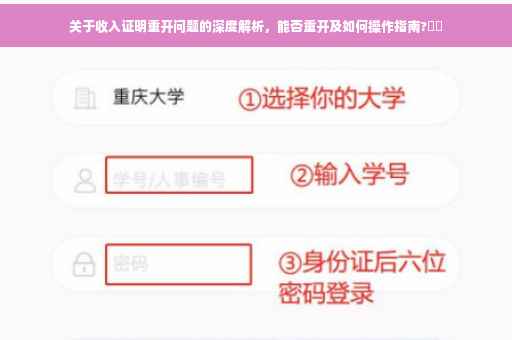 关于收入证明重开问题的深度解析，能否重开及如何操作指南?⚡️