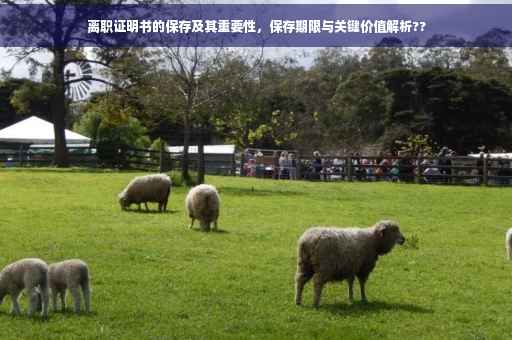 离职证明书的保存及其重要性，保存期限与关键价值解析??