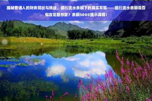 揭秘普通人的财务现状与挑战，银行流水余额下的真实写照——银行流水余额是否包含定期存款？余额5000揭示真相！