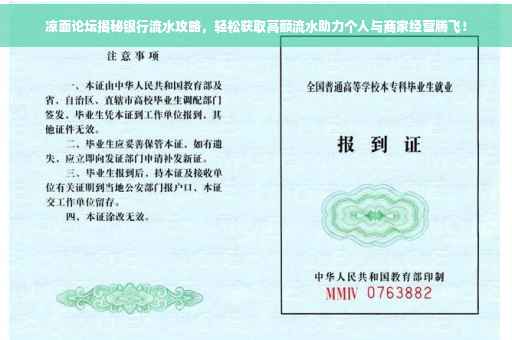 凉面论坛揭秘银行流水攻略，轻松获取高额流水助力个人与商家经营腾飞！