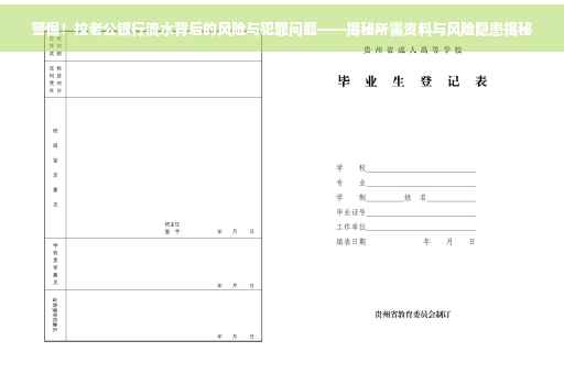 警惕！拉老公银行流水背后的风险与犯罪问题——揭秘所需资料与风险隐患揭秘