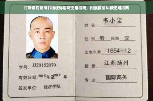 打胎疾病证明书模板详解与使用指南，附模板图片和使用指南