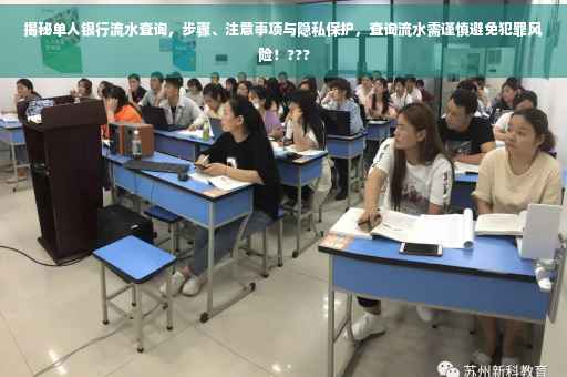 揭秘单人银行流水查询，步骤、注意事项与隐私保护，查询流水需谨慎避免犯罪风险！???
