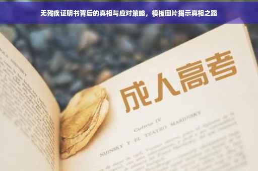 无残疾证明书背后的真相与应对策略，模板图片揭示真相之路