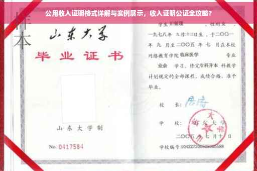公用收入证明格式详解与实例展示，收入证明公证全攻略?