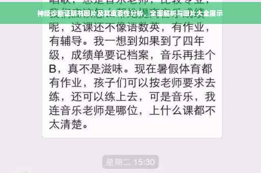 神经诊断证明书图片及其重要性分析，全面解析与图片大全展示