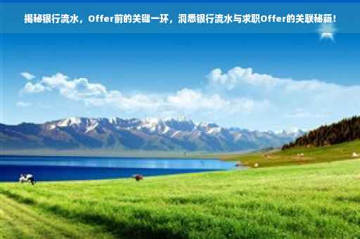 揭秘银行流水，Offer前的关键一环，洞悉银行流水与求职Offer的关联秘籍！