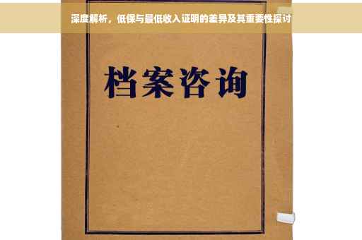 深度解析，低保与最低收入证明的差异及其重要性探讨