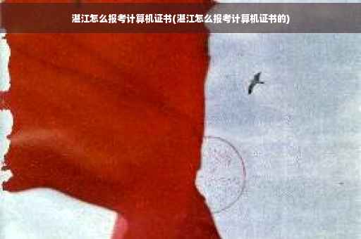 湛江怎么报考计算机证书(湛江怎么报考计算机证书的)