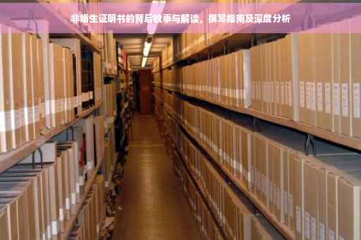 非婚生证明书的背后故事与解读，撰写指南及深度分析