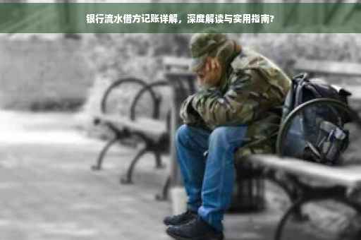银行流水借方记账详解，深度解读与实用指南?