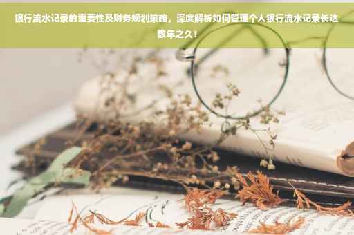 银行流水记录的重要性及财务规划策略，深度解析如何管理个人银行流水记录长达数年之久！
