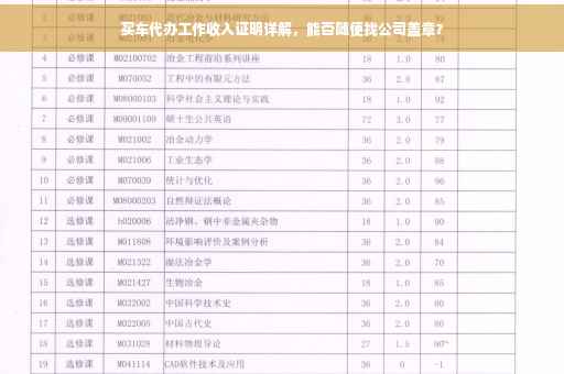 买车代办工作收入证明详解，能否随便找公司盖章？