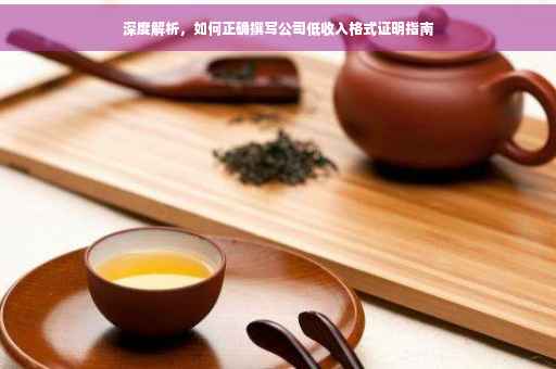 深度解析，如何正确撰写公司低收入格式证明指南